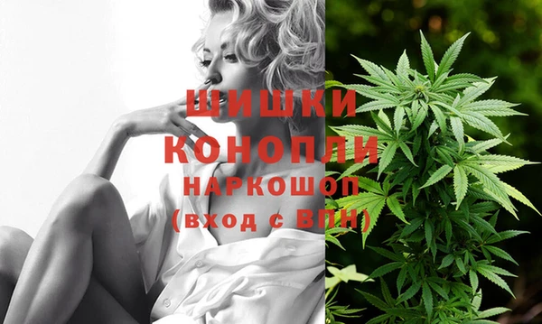 гидра Щучье