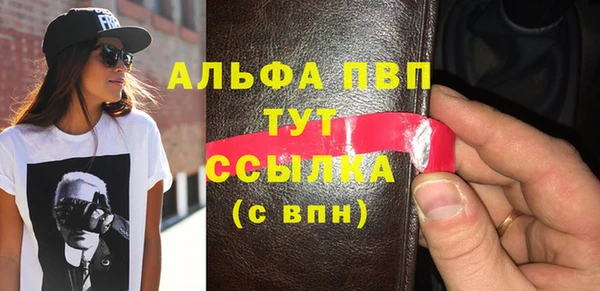 шишки Заволжье