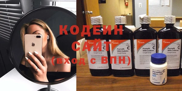 шишки Заволжье
