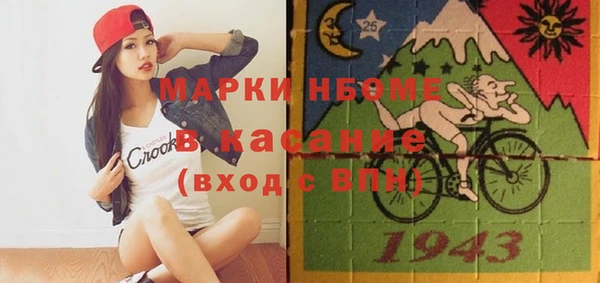 стаф Ельня