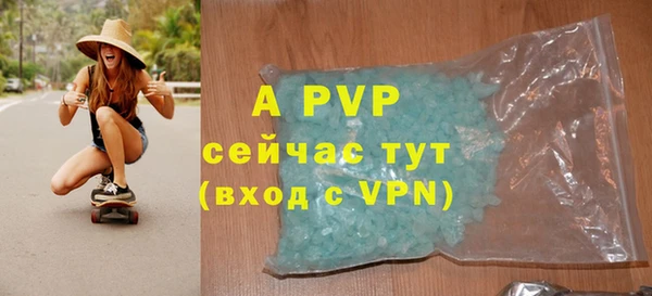 шишки Заволжье