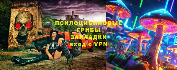 шишки Заволжье