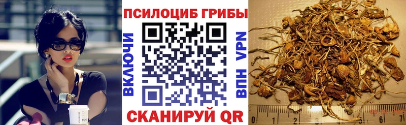 Псилоцибиновые грибы Magic Shrooms  Кулебаки 