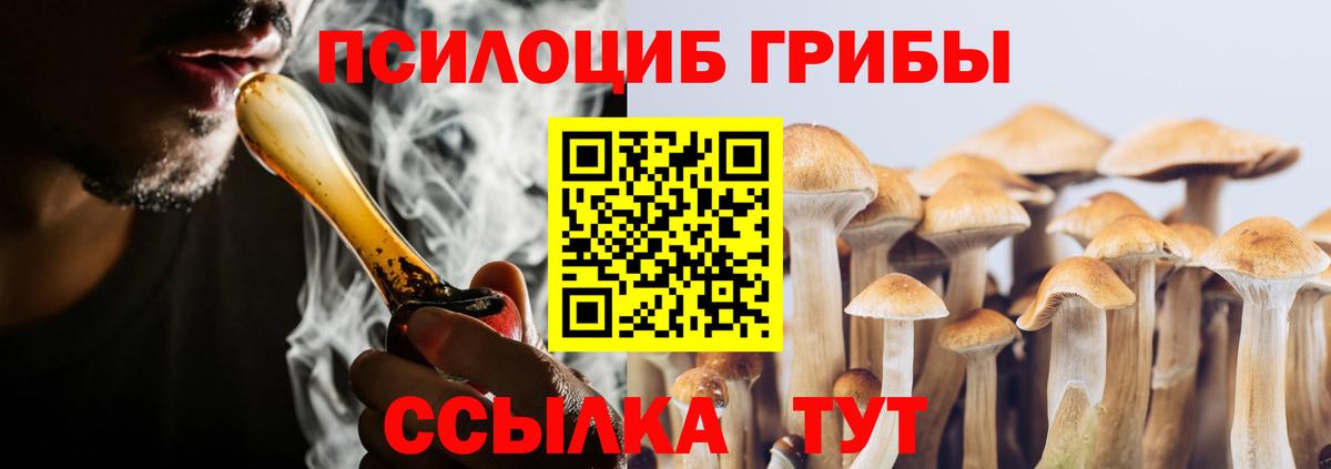 Псилоцибиновые грибы мицелий Кулебаки
